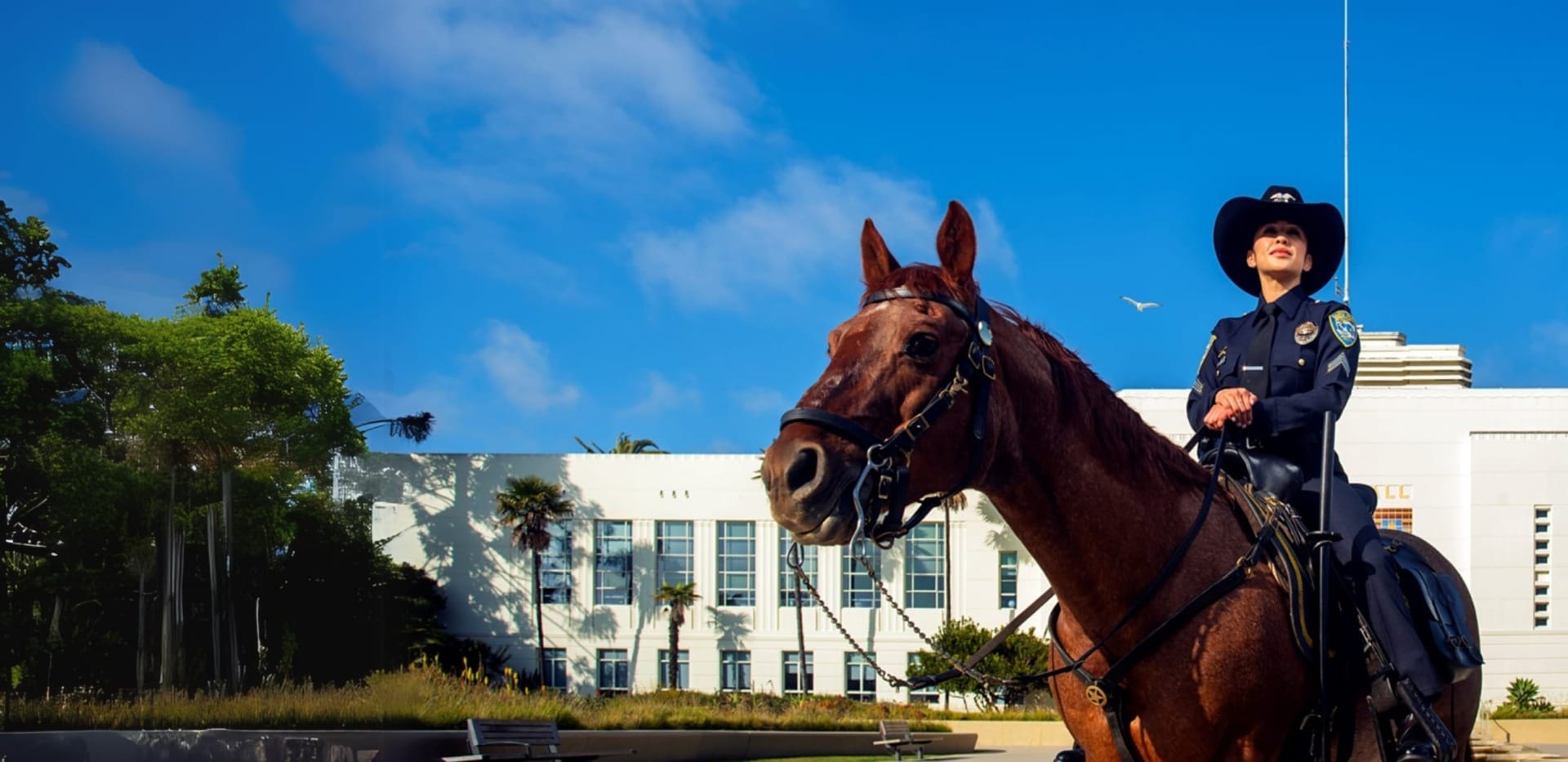 Mounted police officer on horseback in front of a large white building with palm trees under a blue sky.